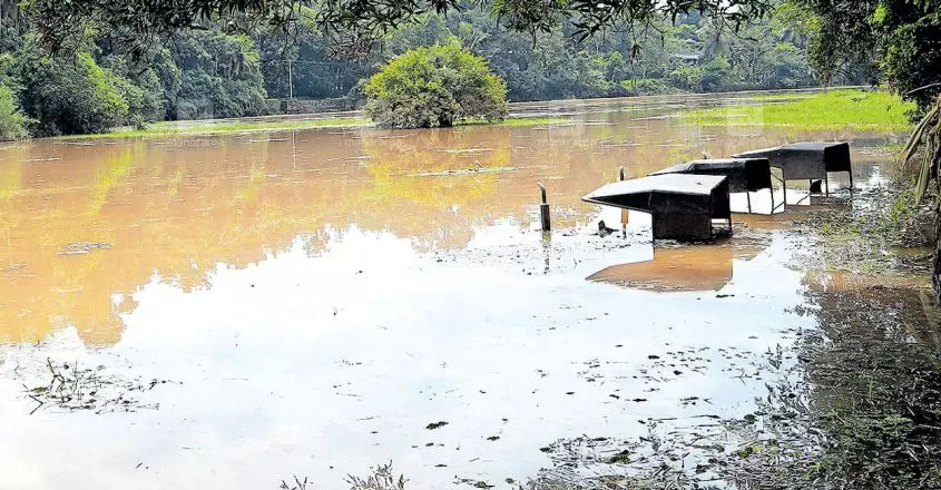ഇടയാറന്മുളയില്‍ അപ്രതീക്ഷിത വെള്ളപ്പൊക്കം;പത്തനം തിട്ടയില്‍ വന്‍കൃഷിനാശം