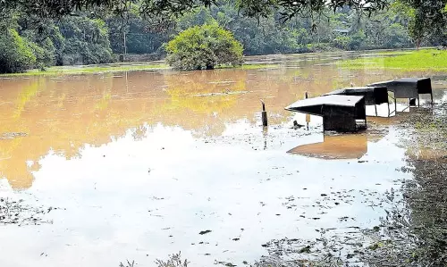 ഇടയാറന്മുളയില്‍ അപ്രതീക്ഷിത വെള്ളപ്പൊക്കം;പത്തനം തിട്ടയില്‍ വന്‍കൃഷിനാശം