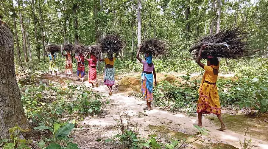 പ്രധാനമന്ത്രി ഉജ്ജ്വല യോജന വെറുംവാക്ക്; വില വർധന മൂലം വെസ്റ്റ് ജാർഗ്രാമിൽ ഗ്യാസ് ഉപേക്ഷിച്ചത് 42 ശതമാനം പേർ പ്രധാനമന്ത്രി ഉജ്ജ്വല യോജന വെറുംവാക്ക്; വില വർധന മൂലം വെസ്റ്റ് ജാർഗ്രാമിൽ ഗ്യാസ് ഉപേക്ഷിച്ചത് 42 ശതമാനം പേർ