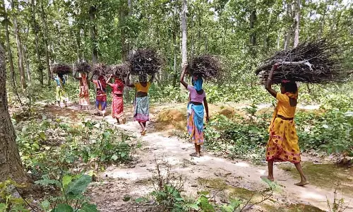 പ്രധാനമന്ത്രി ഉജ്ജ്വല യോജന വെറുംവാക്ക്; വില വർധന മൂലം വെസ്റ്റ് ജാർഗ്രാമിൽ ഗ്യാസ് ഉപേക്ഷിച്ചത് 42 ശതമാനം പേർ