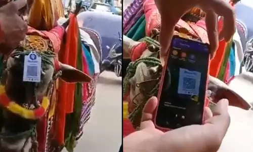 നേര്‍ച്ചയിടാന്‍ കാളയുടെ തലയില്‍ ക്യു ആര്‍ കോഡ്; ഇതാണ് ഡിജിറ്റല്‍ ഇന്ത്യയെന്ന് സോഷ്യല്‍ മീഡിയ