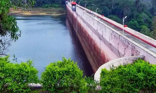 മുല്ലപ്പെരിയാറിലെ മരം മുറി അനുമതി: ദുരൂഹത കൂട്ടി ഉദ്യോഗസ്ഥന്റെ വിശദീകരണം മുല്ലപ്പെരിയാറിലെ മരം മുറി അനുമതി: ദുരൂഹത കൂട്ടി ഉദ്യോഗസ്ഥന്റെ വിശദീകരണം