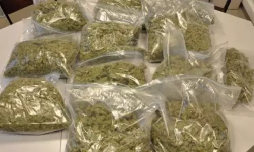 നൂറ് കിലോ കഞ്ചാവുമായി മൂന്ന് പേര്‍ പിടിയില്‍