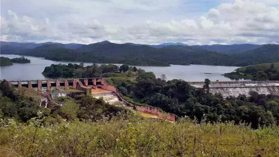 മുല്ലപ്പെരിയാറിലെ വിവാദ മരംമുറി ഉത്തരവ്; വിശദീകരണം തേടി സർക്കാർ