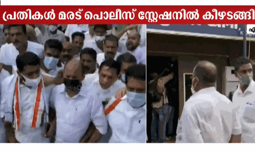 ജോജുവിന്റെ വാഹനം തകർത്ത കേസ്: കോൺഗ്രസ് നേതാക്കൾ കീഴടങ്ങി ജോജുവിന്റെ വാഹനം തകർത്ത കേസ്: കോൺഗ്രസ് നേതാക്കൾ കീഴടങ്ങി