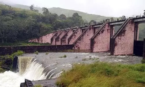 മുല്ലപ്പെരിയാറിലെ മരംമുറി ഉത്തരവ് സർക്കാർ റദ്ദാക്കി; ഉദ്യോഗസ്ഥന് സസ്പെൻഷൻ മുല്ലപ്പെരിയാറിലെ മരംമുറി ഉത്തരവ് സർക്കാർ റദ്ദാക്കി; ഉദ്യോഗസ്ഥന് സസ്പെൻഷൻ