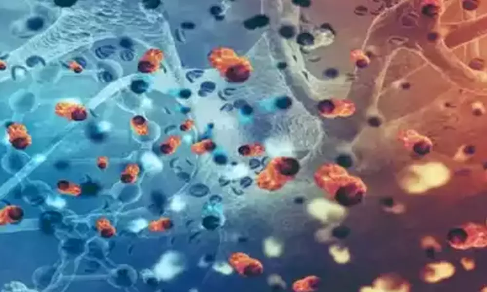 നോറോ വൈറസ്: ആശങ്ക വേണ്ട, ജാഗ്രത മതി: മന്ത്രി വീണാ ജോര്‍ജ്