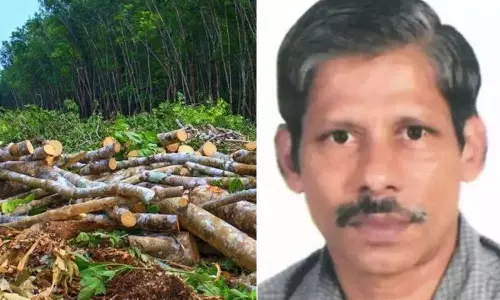 മരം മുറി ഉത്തരവിന് പിന്നിൽ ജലവിഭവ വകുപ്പ്: ചീഫ് വൈല്‍ഡ് ലൈഫ് വാര്‍ഡന്‍ സര്‍ക്കാരിന് വിശദീകരണം നല്‍കി