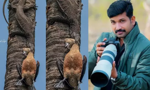 എരണ്ടയും ഉടുമ്പും തമ്മിലുള്ള ആക്രമണം, കീഴടങ്ങല്‍; അഞ്ച് സെക്കൻഡ് ദൈർഘ്യമുള്ള വീഡിയോ കണ്ടത് എട്ട് കോടിയിലേറെ പേര്‍