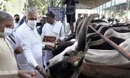 വിദ്യാർത്ഥികളുടേത് പോലെ പശുക്കൾക്കും ഹോസ്റ്റൽ വേണം: കേന്ദ്രമന്ത്രി
