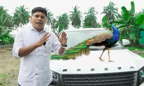 മയിലിനെ കറിവെക്കാൻ ഫിറോസ് ചുട്ടിപ്പാറ ദുബൈയിൽ; സൈബർ ആക്രമണവുമായി സംഘപരിവാർ