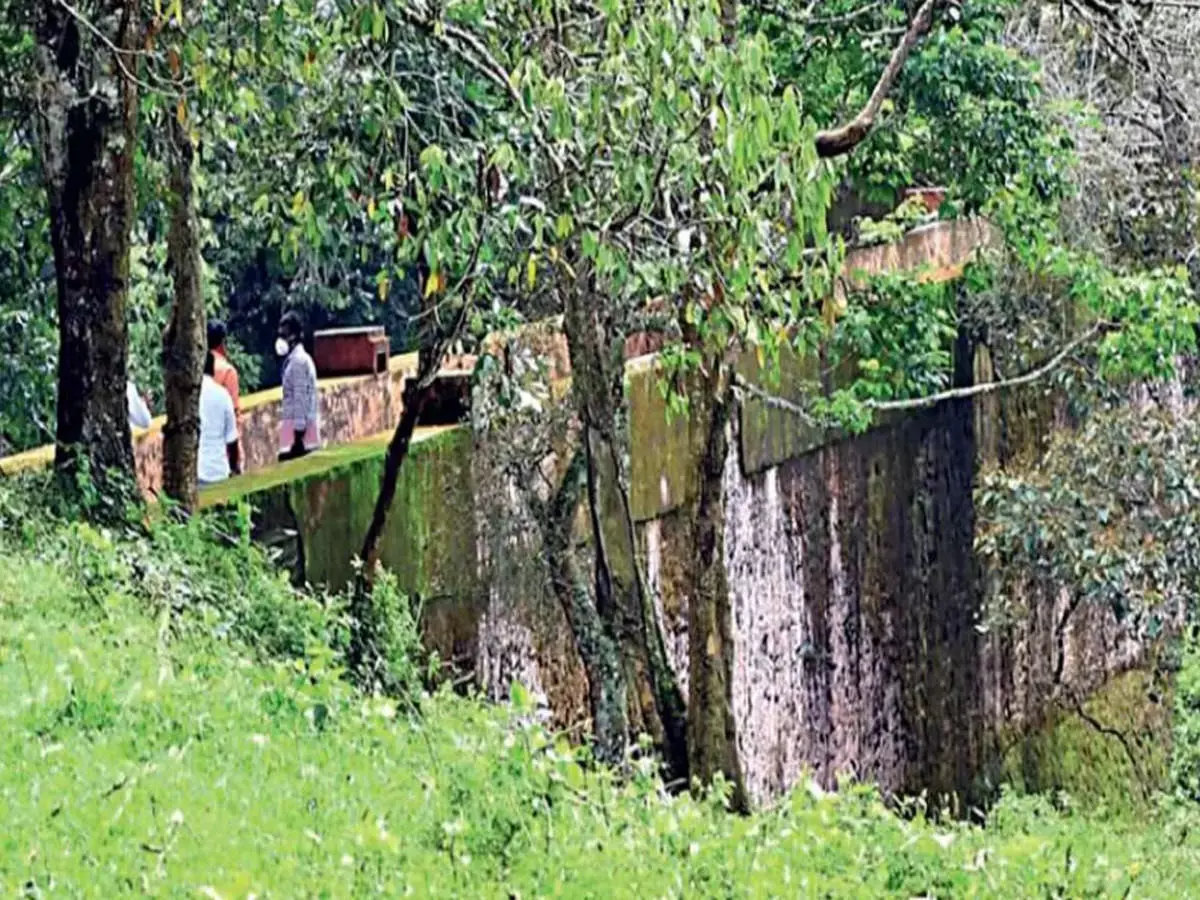 മുല്ലപ്പെരിയാര്‍  മരം മുറി; ഉദ്യോഗസ്ഥരെ പഴിചാരി വനം സെക്രട്ടറി