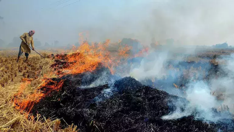ഡല്ഹിയിലെ വായുമലിനീകരണം; കേന്ദ്രത്തിനും ഡല്ഹി സര്ക്കാരിനും സുപ്രിം കോടതിയുടെ രൂക്ഷ വിമര്ശനം ഡല്ഹിയിലെ വായുമലിനീകരണം; കേന്ദ്രത്തിനും ഡല്ഹി സര്ക്കാരിനും സുപ്രിം കോടതിയുടെ രൂക്ഷ വിമര്ശനം