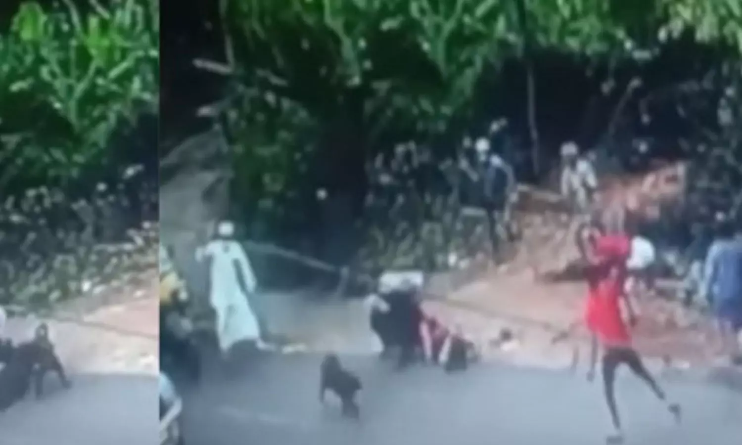 കോഴിക്കോട് പട്ടിയുടെ കടിയേറ്റ യുവതിയെ രക്ഷിക്കാൻ ശ്രമിച്ച നാട്ടുകാർക്കെതിരെ കേസ് കോഴിക്കോട് പട്ടിയുടെ കടിയേറ്റ യുവതിയെ രക്ഷിക്കാൻ ശ്രമിച്ച നാട്ടുകാർക്കെതിരെ കേസ്