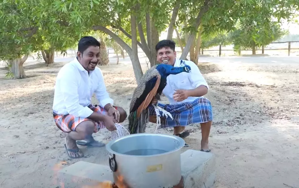 മയില്‍ വിവാദത്തില്‍ ട്വിസ്റ്റുമായി ഫിറോസ്; വിമർശങ്ങളെ വറുത്തരച്ച് കറിയാക്കി