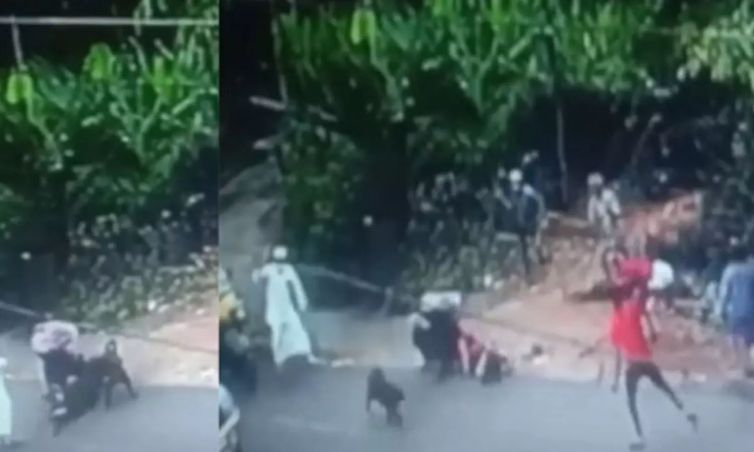 യുവതിക്ക് നേരെ നായ്ക്കളുടെ ആക്രമണം; ഉടമ റോഷനെ സ്റ്റേഷൻ ജാമ്യത്തിൽ വിട്ടയച്ചു യുവതിക്ക് നേരെ നായ്ക്കളുടെ ആക്രമണം; ഉടമ റോഷനെ സ്റ്റേഷൻ ജാമ്യത്തിൽ വിട്ടയച്ചു