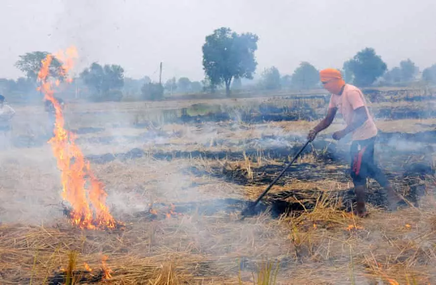 ഡല്ഹി അന്തരീക്ഷ മലിനീകരണത്തിന്റെ പേരില് കര്ഷകരെ ബലിയാടാക്കരുതെന്ന് സുപ്രിം കോടതി ഡല്ഹി അന്തരീക്ഷ മലിനീകരണത്തിന്റെ പേരില് കര്ഷകരെ ബലിയാടാക്കരുതെന്ന് സുപ്രിം കോടതി