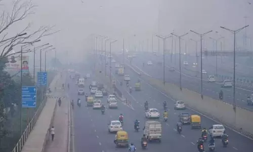 അന്തരീക്ഷ മലിനീകരണ തോത് കുറയ്ക്കാനുള്ള നടപടികളുമായി ഡൽഹിയും അയൽ സംസ്ഥാനങ്ങളും