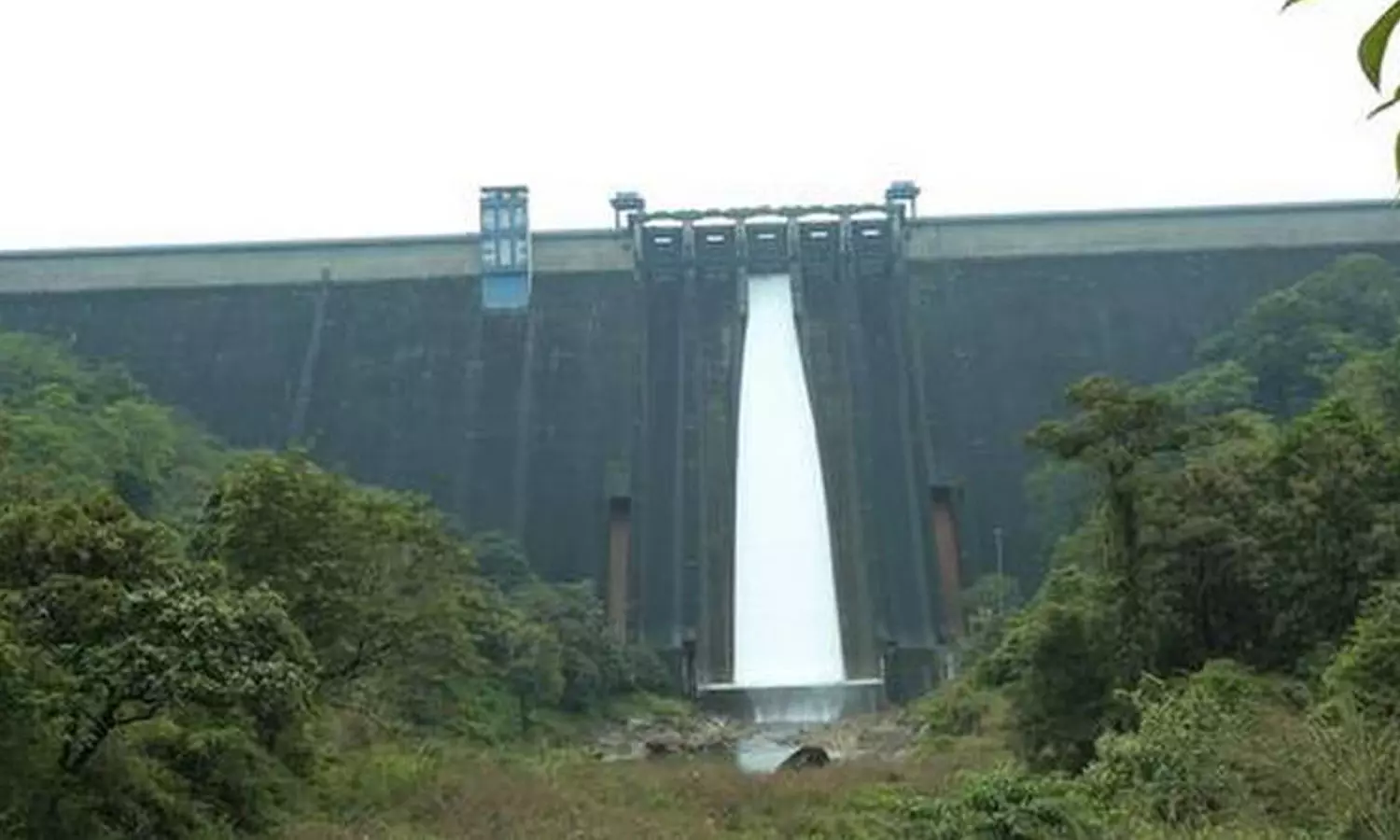 ജലനിരപ്പ് 141 അടി കടന്നു; മുല്ലപ്പെരിയാർ ഡാമിന്റെ ഷട്ടറുകൾ ഉയർത്തുന്നു