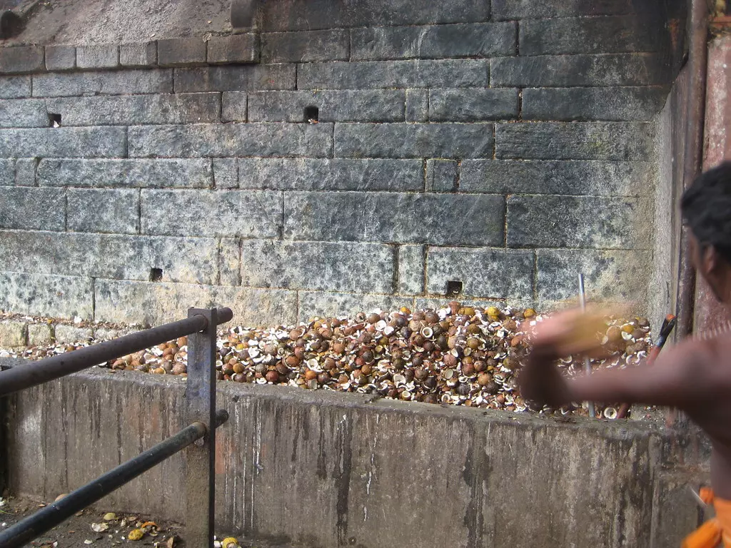 ലേലത്തിന് ആളില്ല; സന്നിധാനത്തെ നാളികേര സംഭരണവും സംസ്കരണവും പ്രതിസന്ധിയില് ലേലത്തിന് ആളില്ല; സന്നിധാനത്തെ നാളികേര സംഭരണവും സംസ്കരണവും പ്രതിസന്ധിയില്