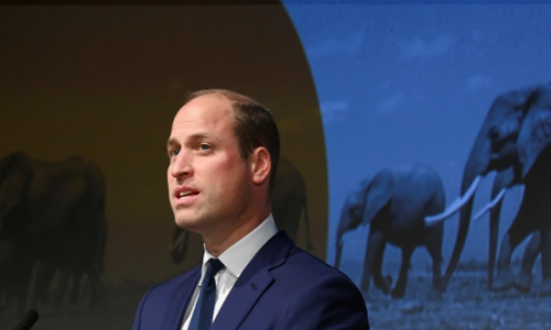 ആഫ്രിക്കയിലെ ജനസംഖ്യ വർധനവ് വന്യജീവികളെ ബാധിക്കുന്നുവെന്ന് വില്യം രാജകുമാരൻ; പോയി പണി നോക്കാൻ സോഷ്യൽ മീഡിയ