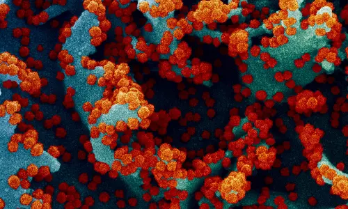 ഒന്നിലധികം തവണ ജനിതക മാറ്റം സംഭവിച്ച കൊറോണ വൈറസ് ദക്ഷിണാഫ്രിക്കയിൽ പടരുന്നു; മുന്നറിയിപ്പ്