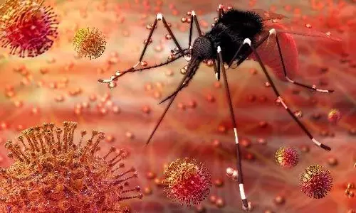 കോഴിക്കോട്ട് വൈറസ് ബാധ; സംസ്ഥാനത്ത് വീണ്ടും സിക്ക വൈറസ് കോഴിക്കോട്ട് വൈറസ് ബാധ; സംസ്ഥാനത്ത് വീണ്ടും സിക്ക വൈറസ്