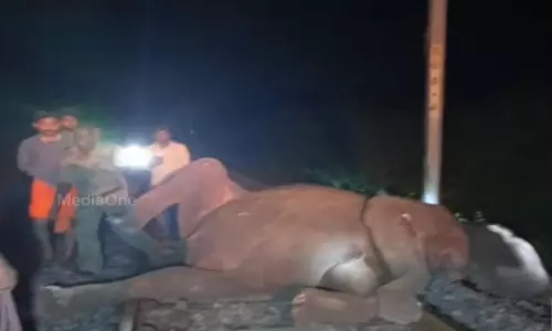 കോയമ്പത്തൂരില്‍ ട്രെയിനിടിച്ച് മൂന്ന് കാട്ടാനകൾ ചരിഞ്ഞു