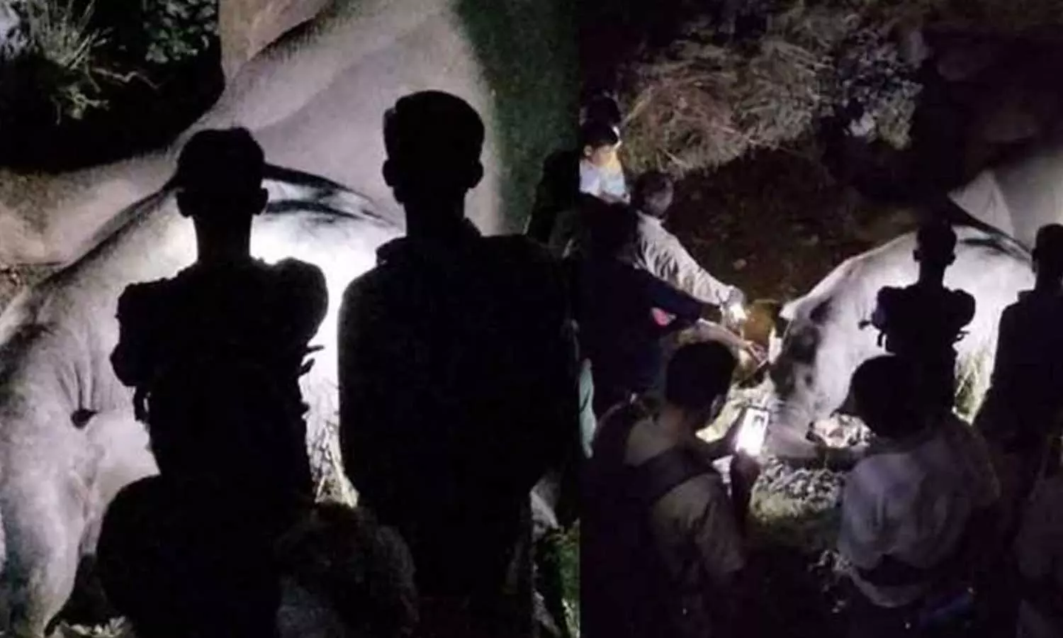 വാളായറിൽ ട്രെയിനിടിച്ചു കാട്ടാനകൾ ചരിഞ്ഞ സംഭവം; തമിഴ്‌നാട് വനം വകുപ്പും റെയിൽവേയും തമ്മിൽ തർക്കം