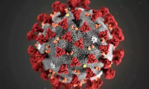 ആശങ്കയായി പുതിയ വകഭേദം; ഒമിക്രോണിനെ കുറിച്ച് അറിയേണ്ടതെല്ലാം ആശങ്കയായി പുതിയ വകഭേദം; ഒമിക്രോണിനെ കുറിച്ച് അറിയേണ്ടതെല്ലാം