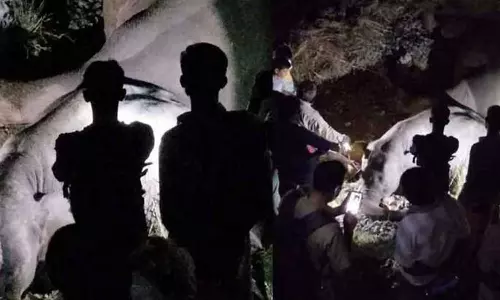 വാളായറിൽ ട്രെയിനിടിച്ചു കാട്ടാനകൾ ചരിഞ്ഞ സംഭവം; തമിഴ്നാട് വനം വകുപ്പും റെയിൽവേയും തമ്മിൽ തർക്കം വാളായറിൽ ട്രെയിനിടിച്ചു കാട്ടാനകൾ ചരിഞ്ഞ സംഭവം; തമിഴ്നാട് വനം വകുപ്പും റെയിൽവേയും തമ്മിൽ തർക്കം