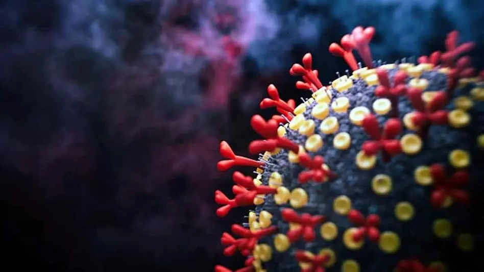 ഒമിക്രോണിനെ എങ്ങനെ പ്രതിരോധിക്കാം; വൈറസിനെക്കാള് വേഗത്തില് പടരുന്ന വ്യാജസന്ദേശങ്ങള് ഒമിക്രോണിനെ എങ്ങനെ പ്രതിരോധിക്കാം; വൈറസിനെക്കാള് വേഗത്തില് പടരുന്ന വ്യാജസന്ദേശങ്ങള്