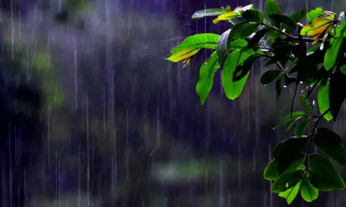 ഇന്നും മഴ തുടരും; 12 ജില്ലകളില്‍ യെല്ലോ അലര്‍ട്ട്