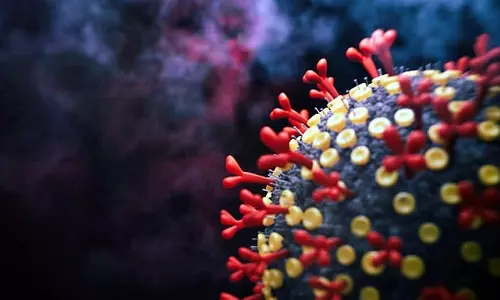 ഒമിക്രോണിനെ എങ്ങനെ പ്രതിരോധിക്കാം; വൈറസിനെക്കാള് വേഗത്തില് പടരുന്ന വ്യാജസന്ദേശങ്ങള് ഒമിക്രോണിനെ എങ്ങനെ പ്രതിരോധിക്കാം; വൈറസിനെക്കാള് വേഗത്തില് പടരുന്ന വ്യാജസന്ദേശങ്ങള്