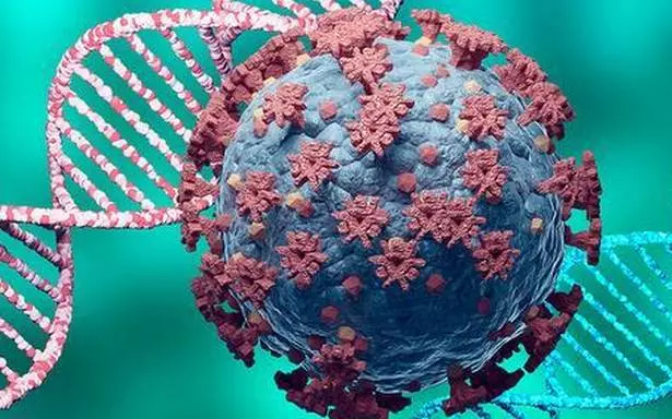 സൗദി അറേബ്യയിൽ ഒമിക്രോൺ സ്ഥിരീകരിച്ചു