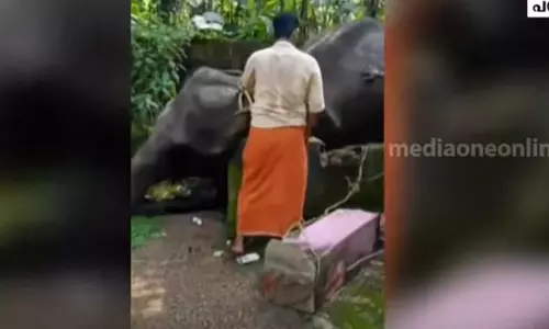 കോട്ടയം പരുന്തുംപാറയിൽ ഇടഞ്ഞ ആന കിണറ്റിൽ വീണു