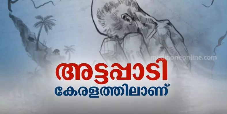 218 ഗര്‍ഭിണികളില്‍ 191 പേര്‍ ഹൈറിസ്കില്‍; അട്ടപ്പാടിയിലെ ആദിവാസി ഗർഭിണികളുടെ സ്ഥിതി അതീവഗുരുതരം