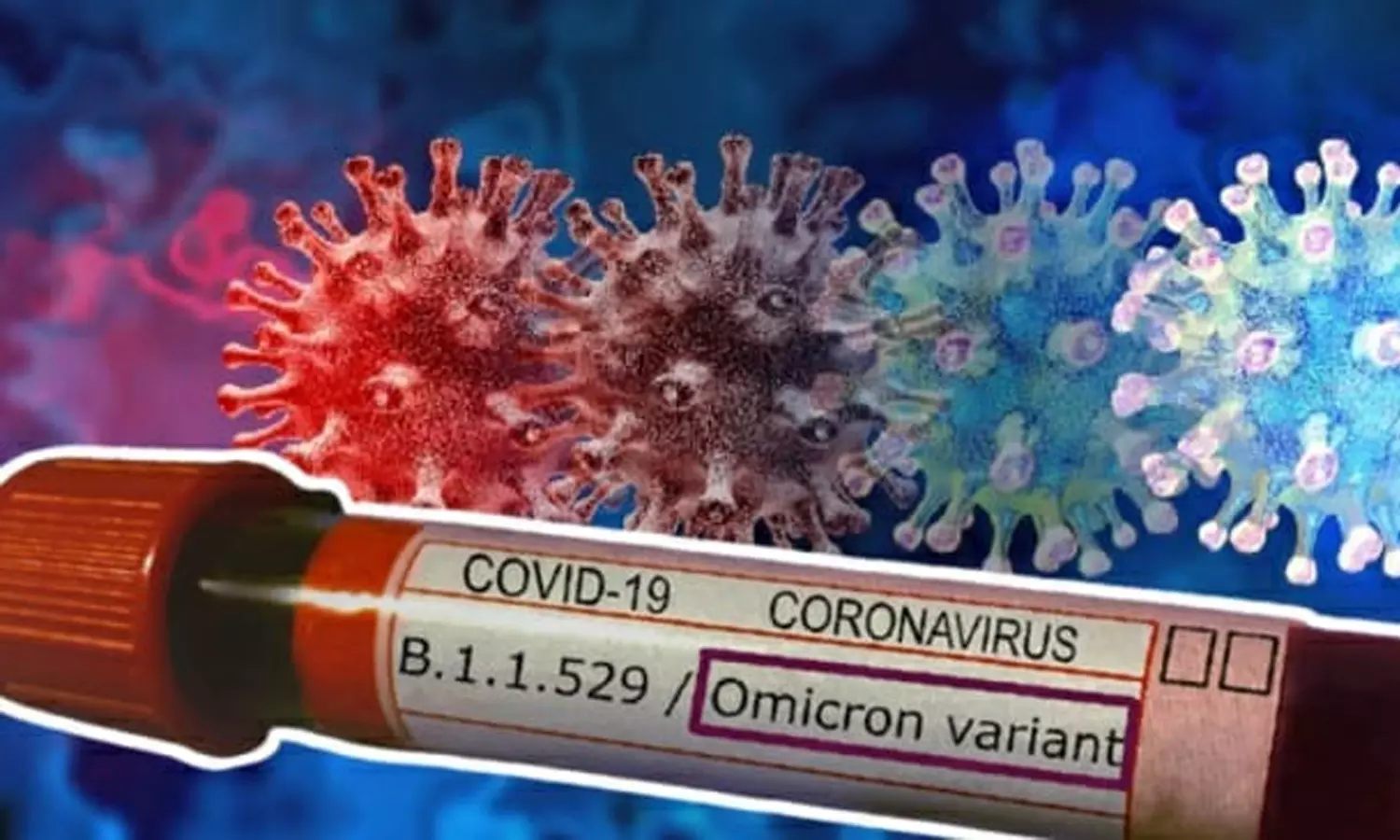 കർണാടകക്ക് പിറകേ ഗുജറാത്തിലും ഒമിക്രോൺ കണ്ടെത്തി കർണാടകക്ക് പിറകേ ഗുജറാത്തിലും ഒമിക്രോൺ കണ്ടെത്തി