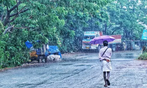 സംസ്ഥാനത്ത് രണ്ട് ദിവസം ശക്തമായ മഴ; ഏഴ് ജില്ലകളിൽ യെല്ലോ അലേർട്ട്