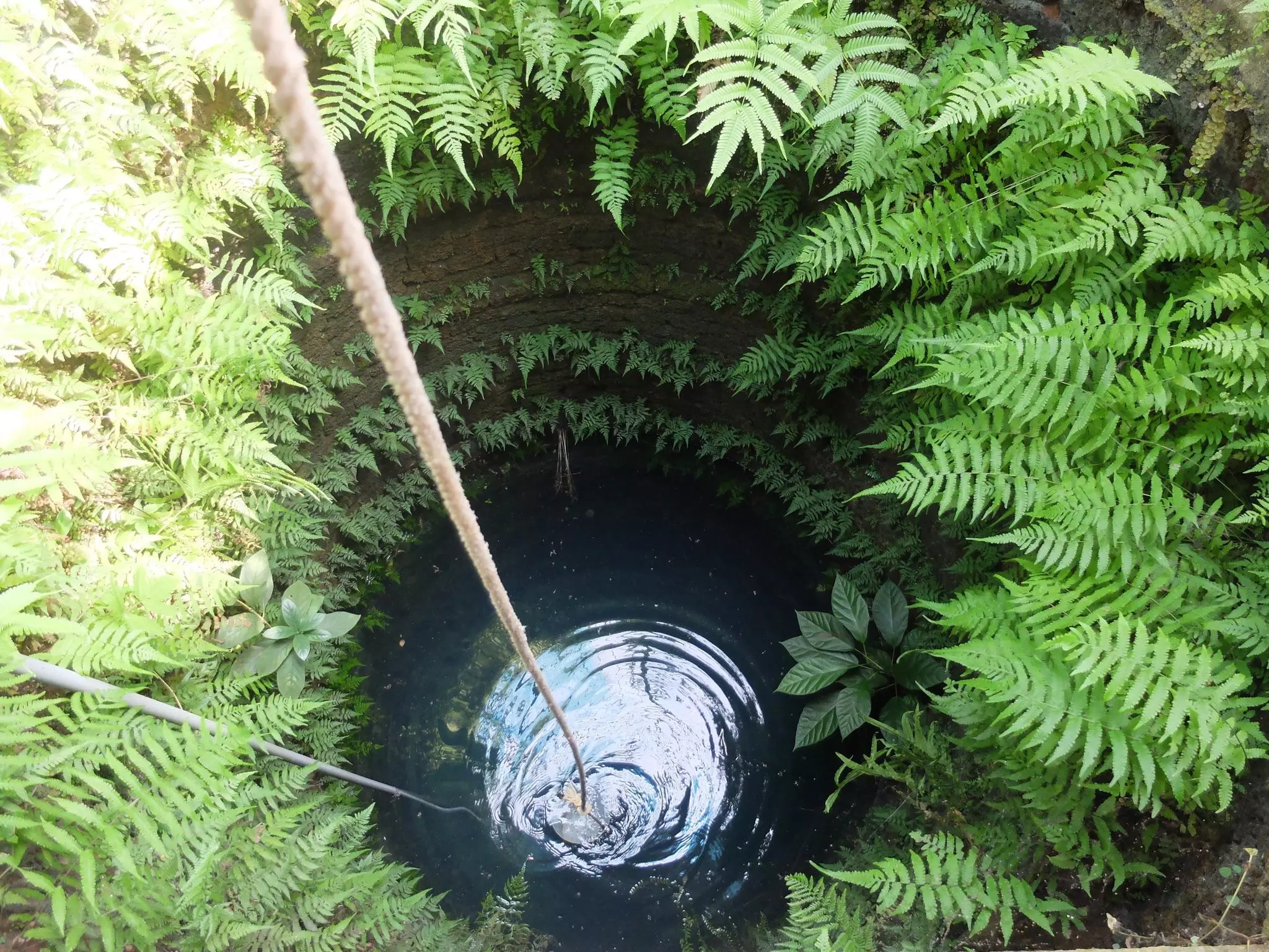 തിരുവനന്തപുരത്ത് കിണറിടിഞ്ഞു കുളമായി മാറി