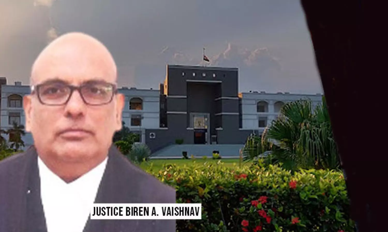 പാർട്ടിക്ക് അധികാരമുള്ളതുകൊണ്ട് മാത്രം നോൺ വെജ് ഭക്ഷണശാലകളെ നശിപ്പിക്കരുത്; രൂക്ഷവിമർശനവുമായി ഗുജറാത്ത് ഹൈക്കോടതി