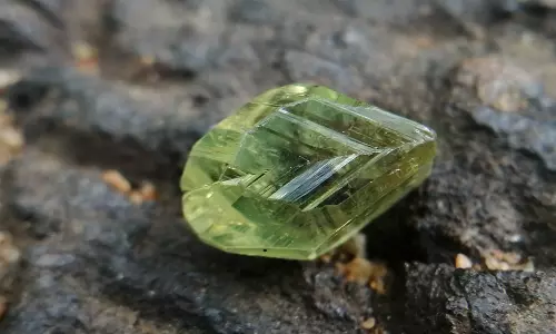 മണച്ചാല വനത്തിലെ വൈഡൂര്യ ഖനനം; ഡിറ്റനേറ്ററും പശയും കണ്ടെത്തി