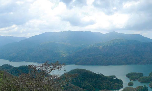 റോസ്മലയിലെ പുനരധിവാസ പദ്ധതിയുടെ മറവില്‍  ഭൂമി കച്ചവടത്തിന് ശ്രമമെന്ന് ആരോപണം