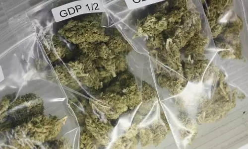 നെയ്യാറ്റിന്‍കരയില്‍ പൂട്ടിയിട്ടിരുന്ന വീട്ടില്‍ നിന്ന് 30 കിലോ കഞ്ചാവ് കണ്ടെടുത്തു