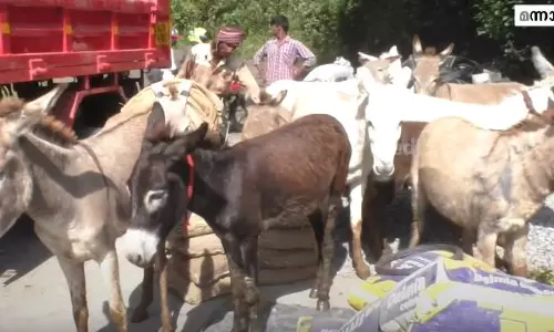 കാല്‍നട പോലും അസാധ്യമായ വഴി, സാധനങ്ങളെത്തിക്കുന്നത് കഴുതപ്പുറത്ത്