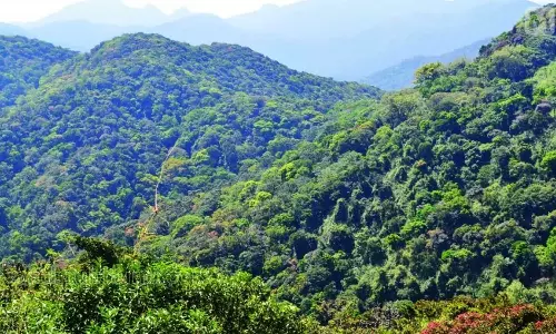 പശ്ചിമഘട്ടം; അന്തിമ വിജ്ഞാപനം വരാത്തത് കേരളം വിവരം നൽകാത്തതിനാലെന്ന് കേന്ദ്രം