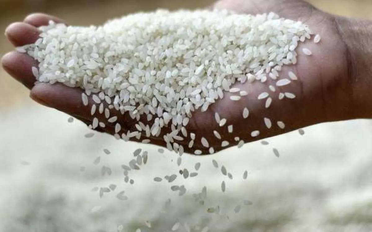 പച്ചക്കറിക്ക് പിന്നാലെ കുതിച്ചുയർന്ന് അരിവിലയും പച്ചക്കറിക്ക് പിന്നാലെ കുതിച്ചുയർന്ന് അരിവിലയും