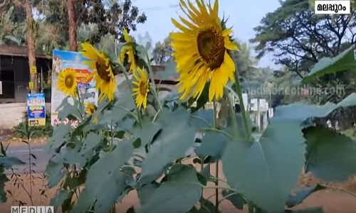 നല്ലൊരു റോഡുണ്ടോ കേരളത്തിൽ? ഉത്തരം മലപ്പുറത്തുണ്ട്