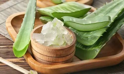 മുഖവും തിളങ്ങും മുടിയും; കറ്റാര്‍വാഴ എന്ന അത്ഭുതച്ചെടി