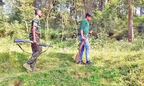 കുറുക്കൻമൂലയിലെ കടുവക്കായുള്ള തിരച്ചിൽ നിർത്തുന്നു